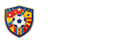 足球直播